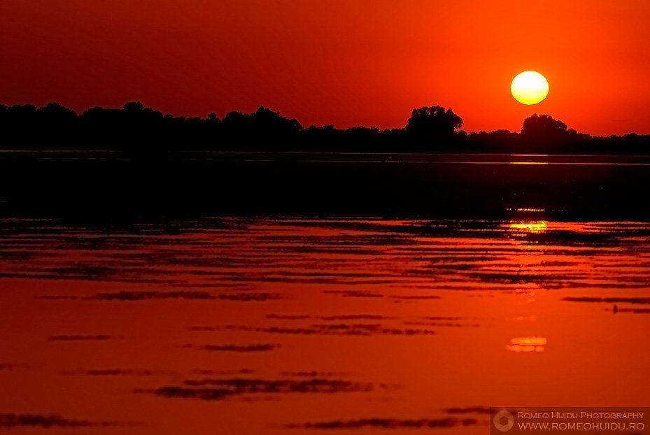 Danube Delta Sunset